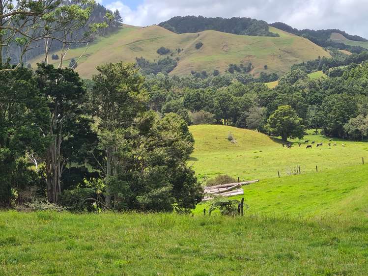 Millbrook Road Waipu_20