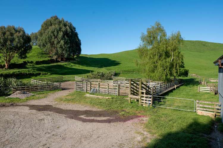 2261 Te Kopia Road Reporoa and Surrounds_11