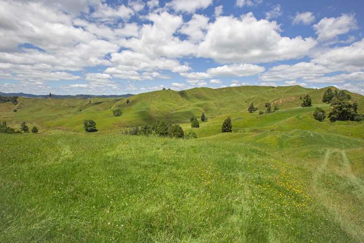 510 Barclay Road Aria_9