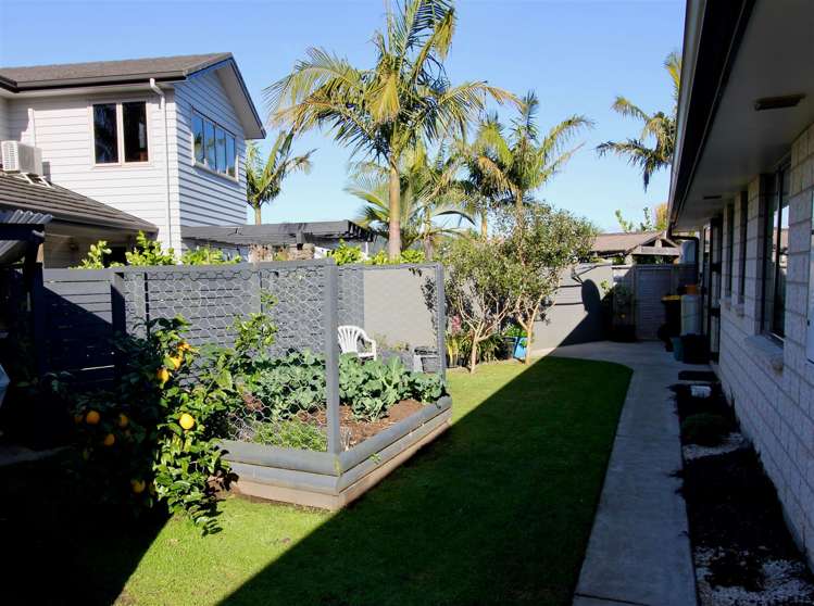 20 Aquila Drive Whitianga_18