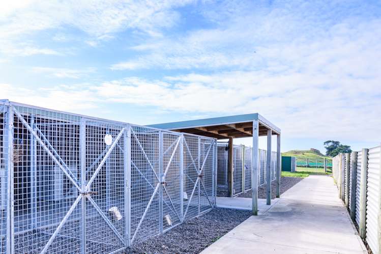 140 Lake Road Himatangi_24