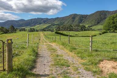 1387 Old Te Aroha Road_3