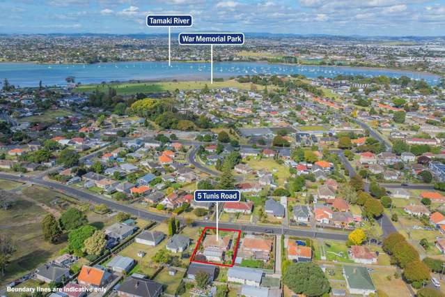 5 Tunis Road Panmure_4