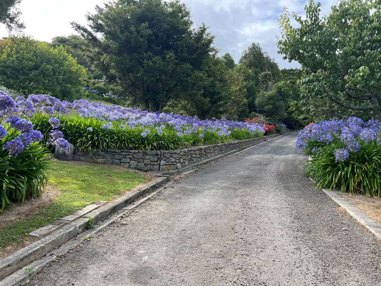 102 Kuku East Road Kuku_25