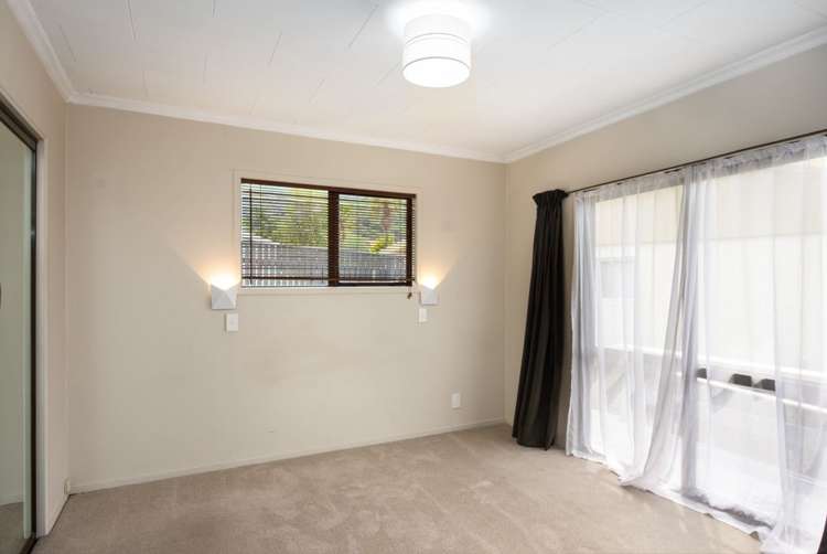 14a Dorset Street Picton_8