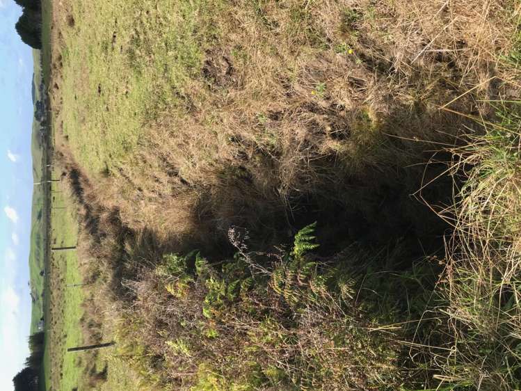 75 Houhora Greens Way Houhora_5