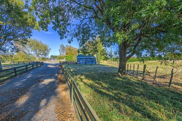 2915 State Highway 1 Sanson_6