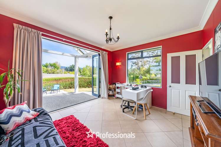 8 Tuhua Lane Brown Owl_16