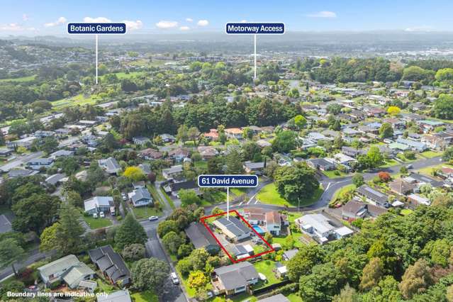 61 David Avenue Hillpark_1