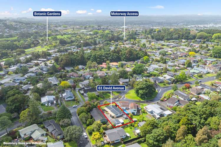 61 David Avenue Hillpark_1