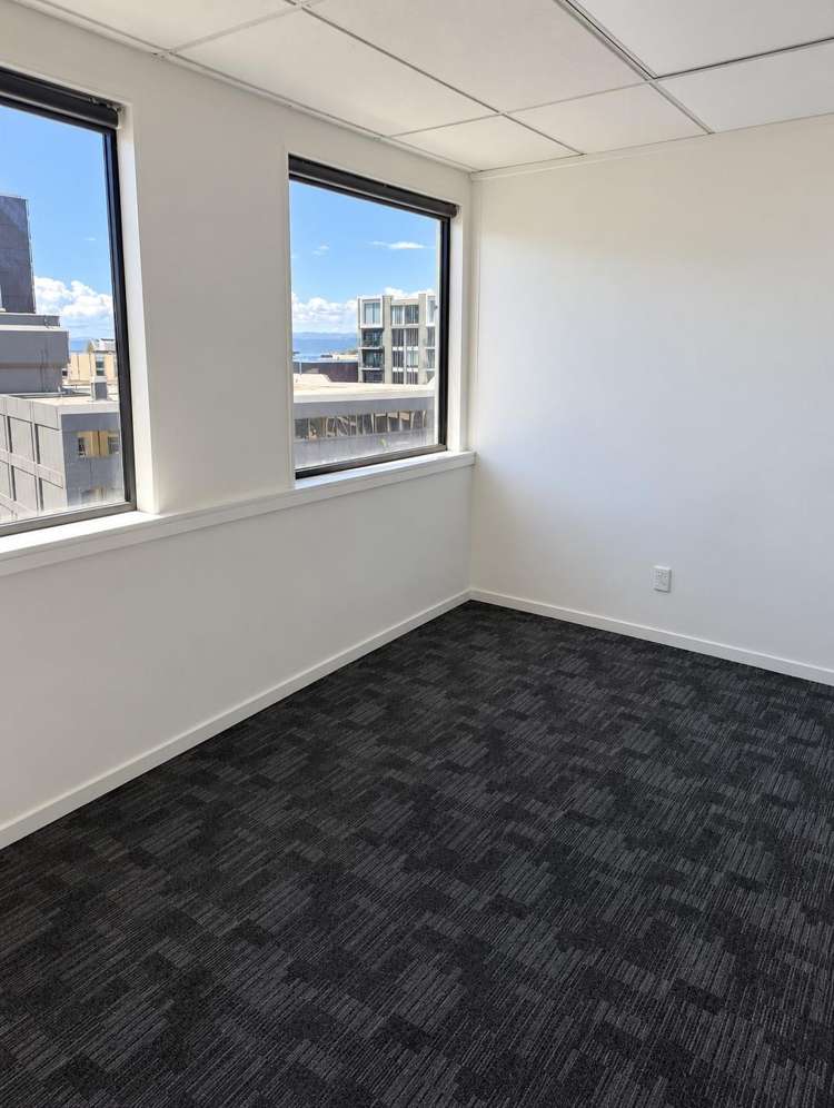 8A/15 Dixon Street Te Aro_10