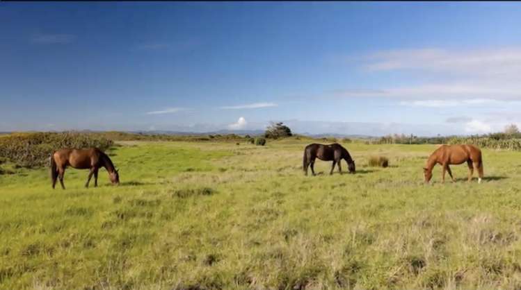 lot 3/612 Inland Road Tokerau Beach_26