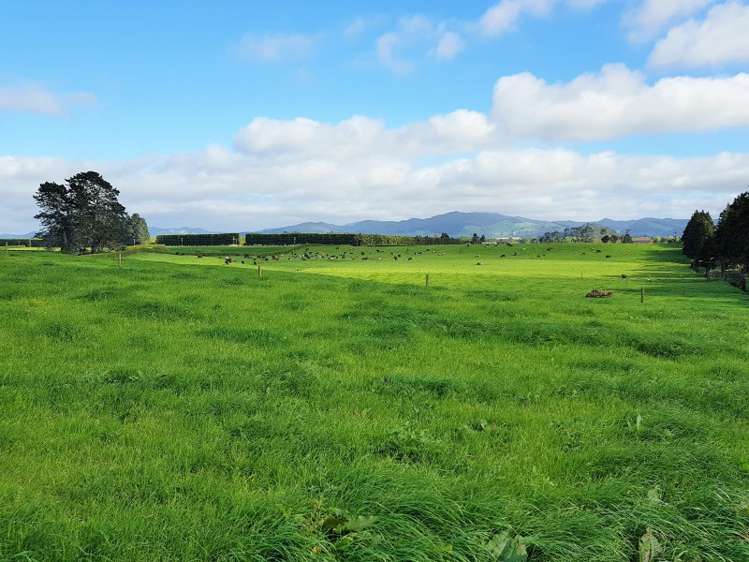 126 Trig Road Waihi_6