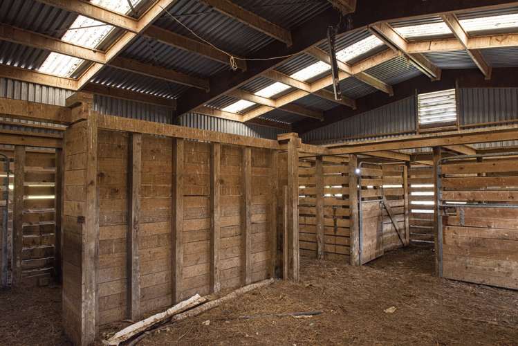 Parahi Road Ruawai_5