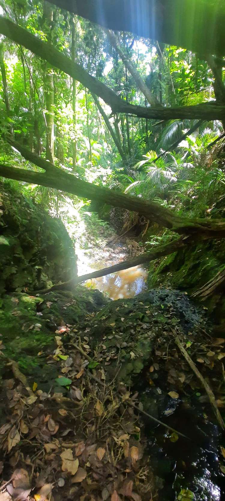 1036 Cove Road Langs Beach_13