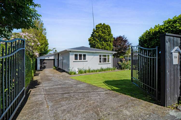 226 Tukapa Street Westown_14