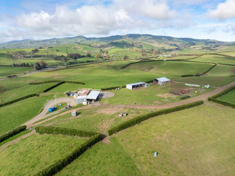 376 Starkey Road Morrinsville_14