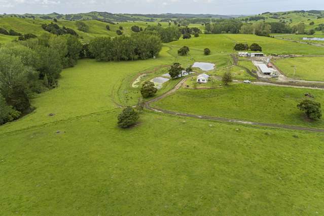 1371 Waihue Road Dargaville Surrounds_2