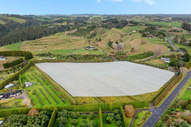 125b Whakamarama Road Whakamarama_4