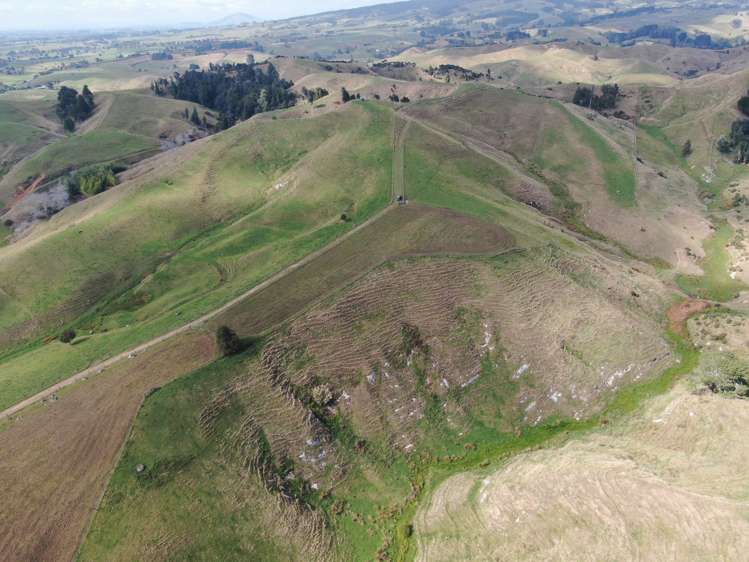 1026 Limeworks Loop Road Karamu_22