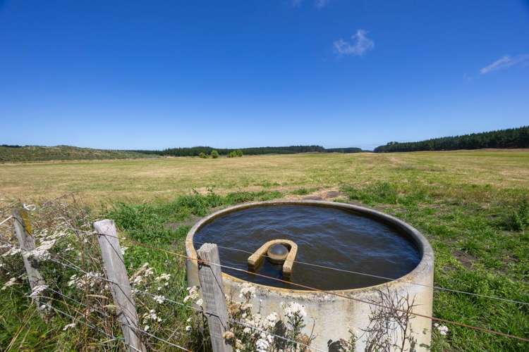 590 Brandon Hall Road Bulls_19