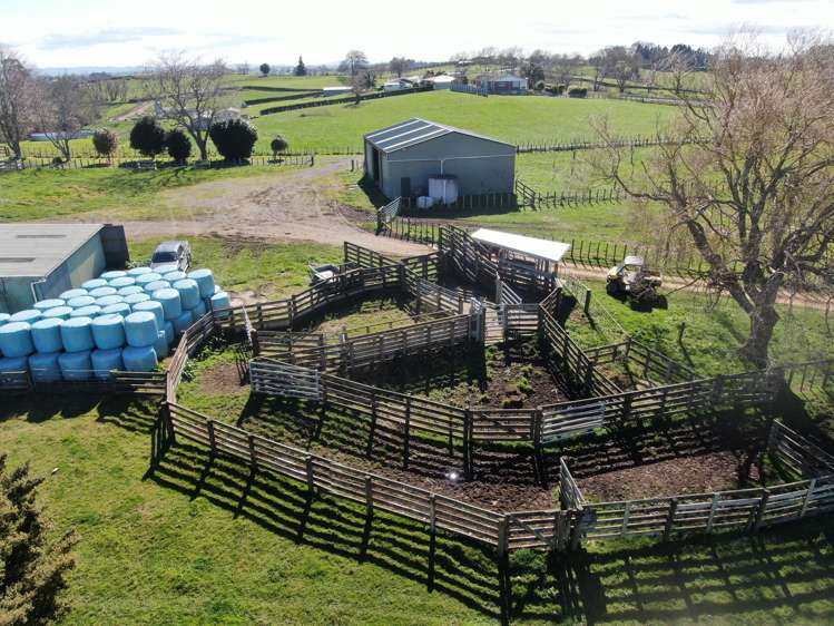 2/4798 Ohaupo Road Te Awamutu_47