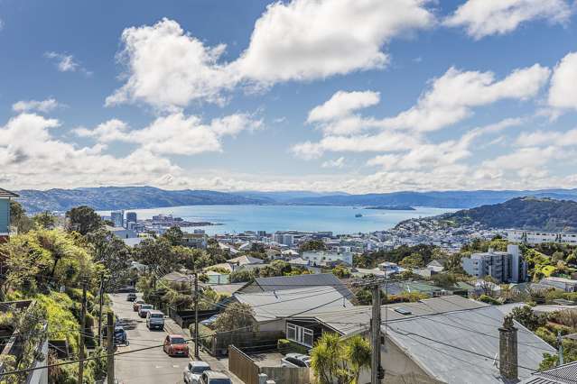 24 Sugarloaf Road Brooklyn_2