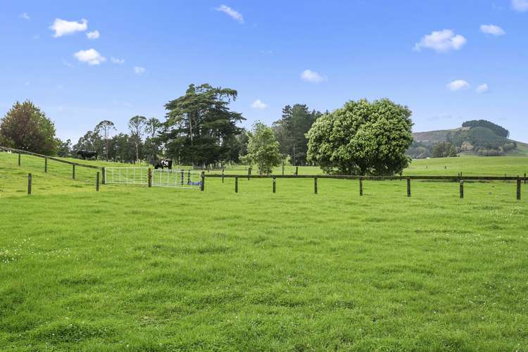 289 Kakepuku Road Te Awamutu_1