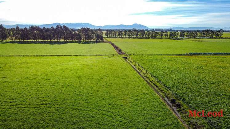 280 Tinwald Westerfield Mayfield Road Tinwald_6