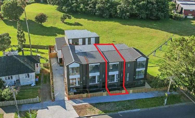 115A Tripoli Road Panmure_0