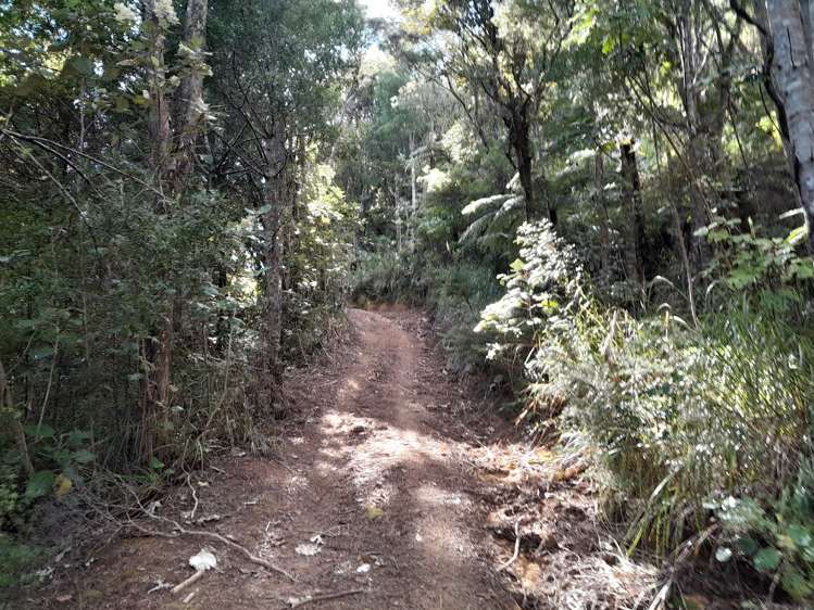 109 Kawhina Lane Kuaotunu_10