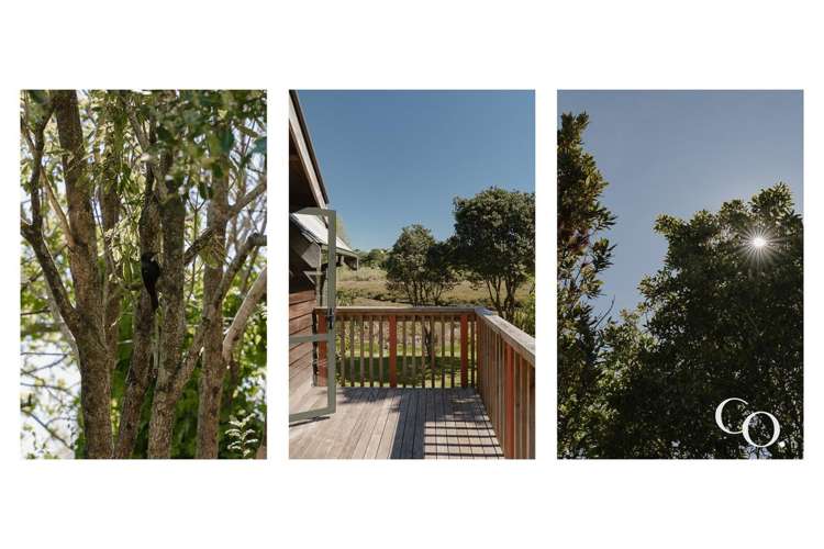 119D Welcome Bay Road Welcome Bay_24