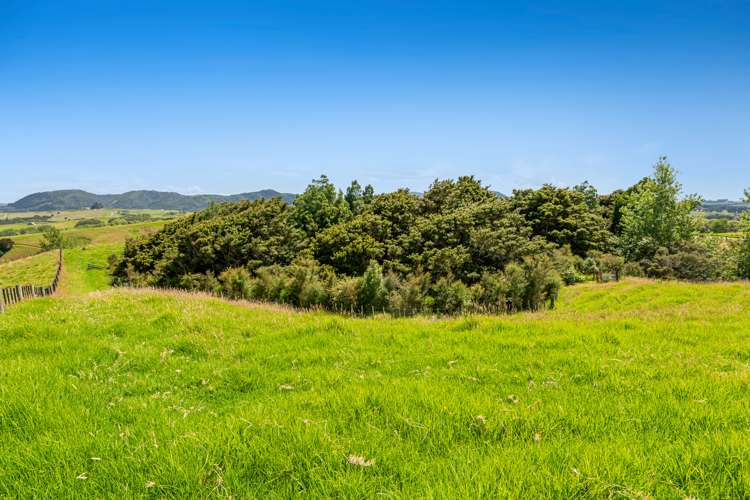 145 Ranganui Road Kaiwaka_20