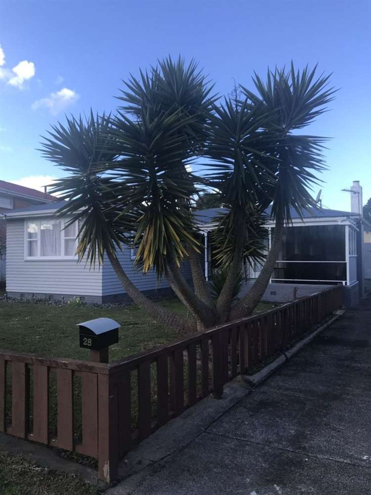 28 Greenmeadows Avenue Manurewa_2