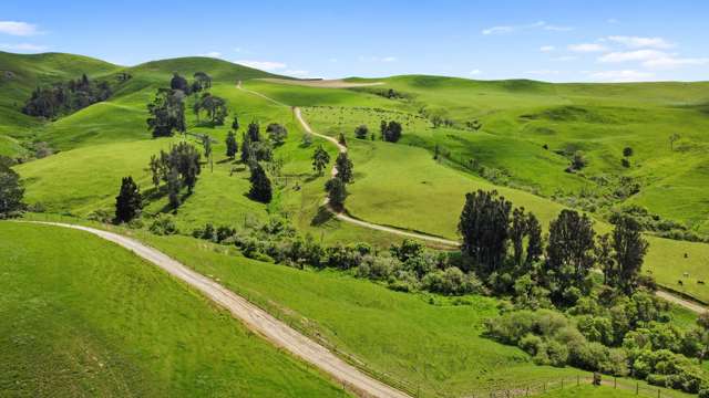 258 Paratu West Road Richmond Downs_2