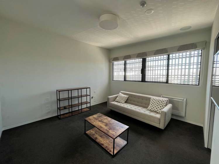 23 Falcon Street Parnell_13