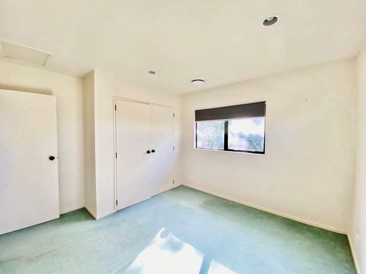 5a Ewenson Avenue One Tree Hill_6