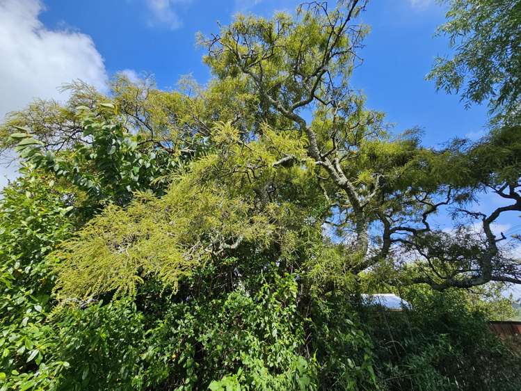 55 Nelson Quay Cobden_14