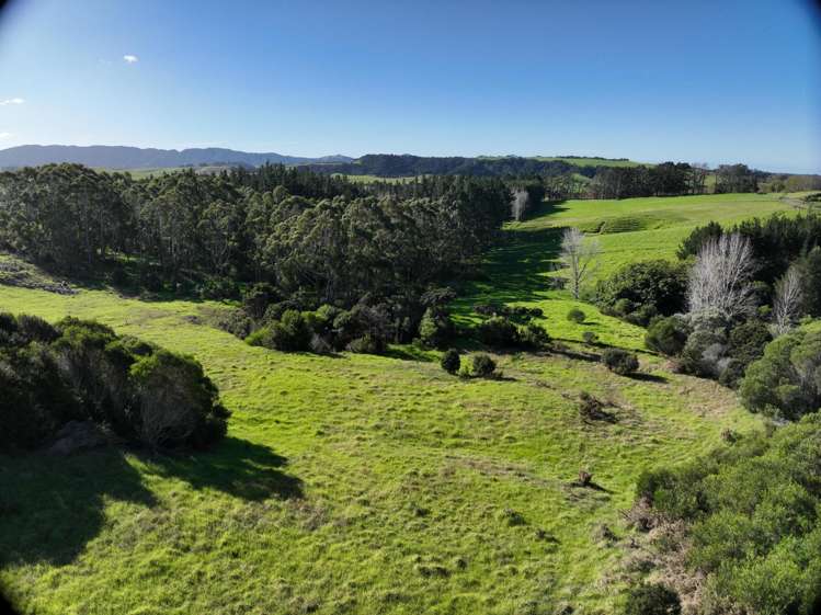 Mangawhai Bush Estate Mangawhai_7