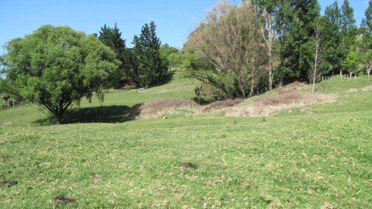 121 Wheatstone Road Wainui_8