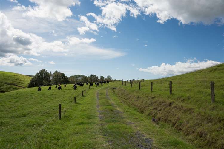 67 Fraser Road Kawakawa_13