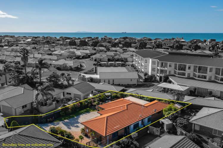 36 Gardenia Drive Mount Maunganui_3