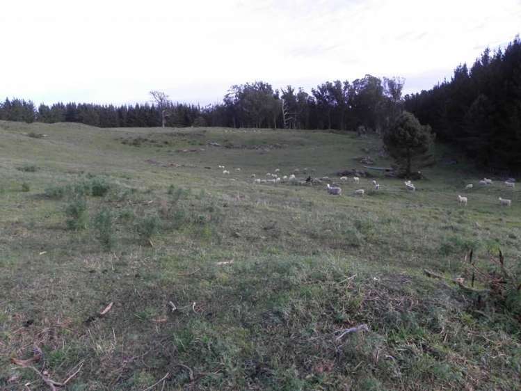 1433 State Highway 3 Turakina_23