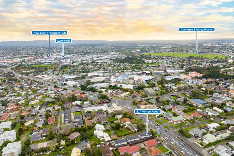 21 Tiverton Road Avondale_3