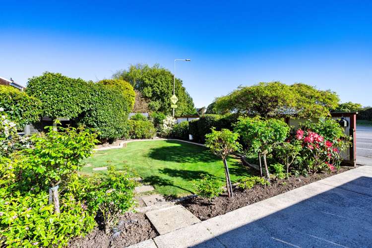 323 Layard Street Waverley_22