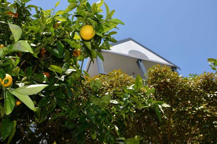 14b Daphne Road Tairua_22