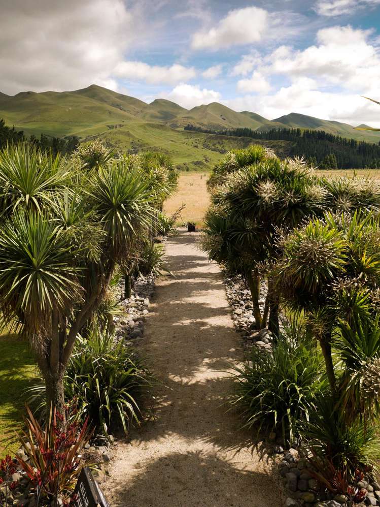 376 Ram Paddock Road Waipara_5