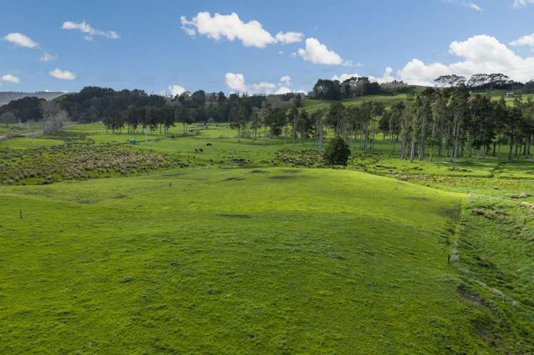 1698 Hetherington Road Huntly_7