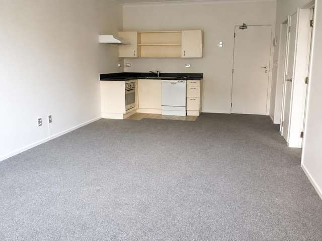 1E/15 Nelson Street Auckland Central_1