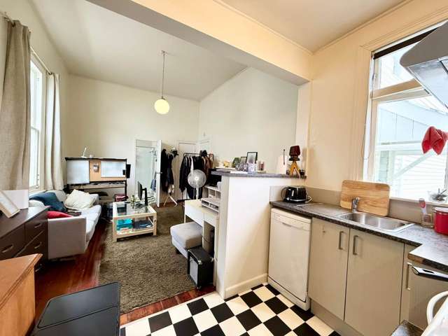 5/112 Williamson Avenue Grey Lynn_4